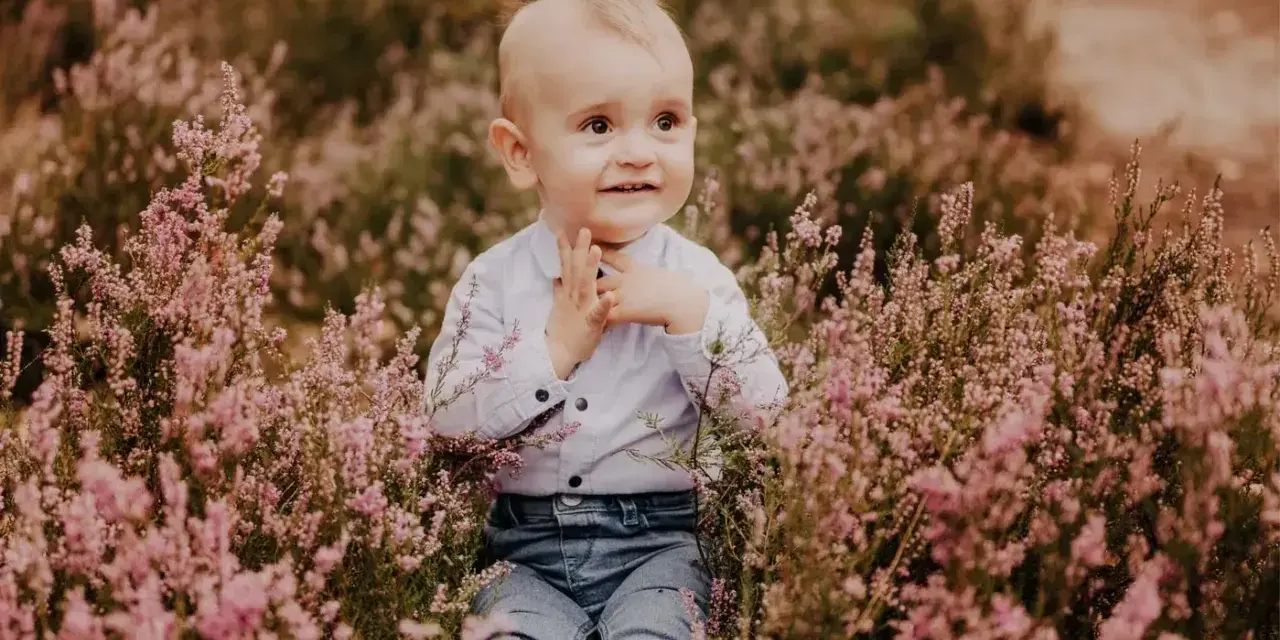 Uroczy chłopiec w jeansach i koszuli siedzi pośród kwitnącej wrzosowej polany. To jego **1 urodziny**!
